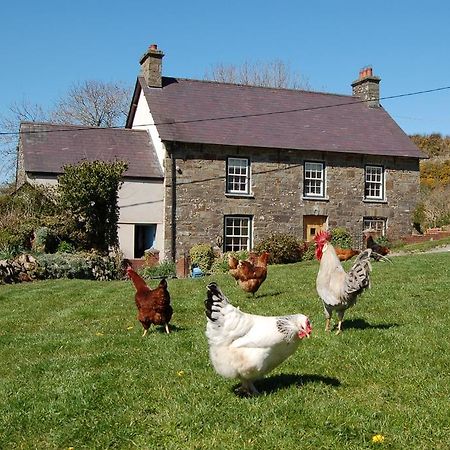 Nantgwynfaen Organic Farm Wales Villa Llandysul Kültér fotó
