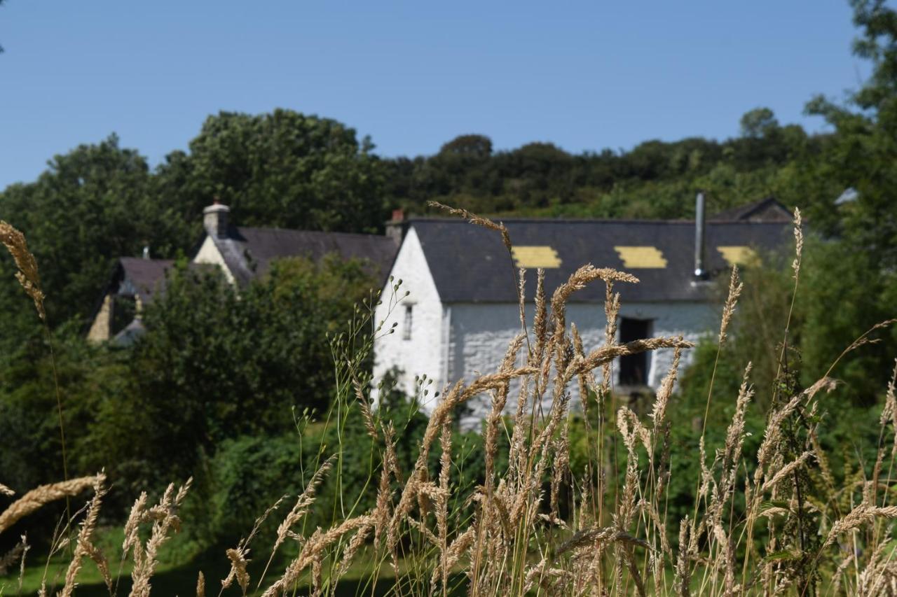 Nantgwynfaen Organic Farm Wales Villa Llandysul Kültér fotó