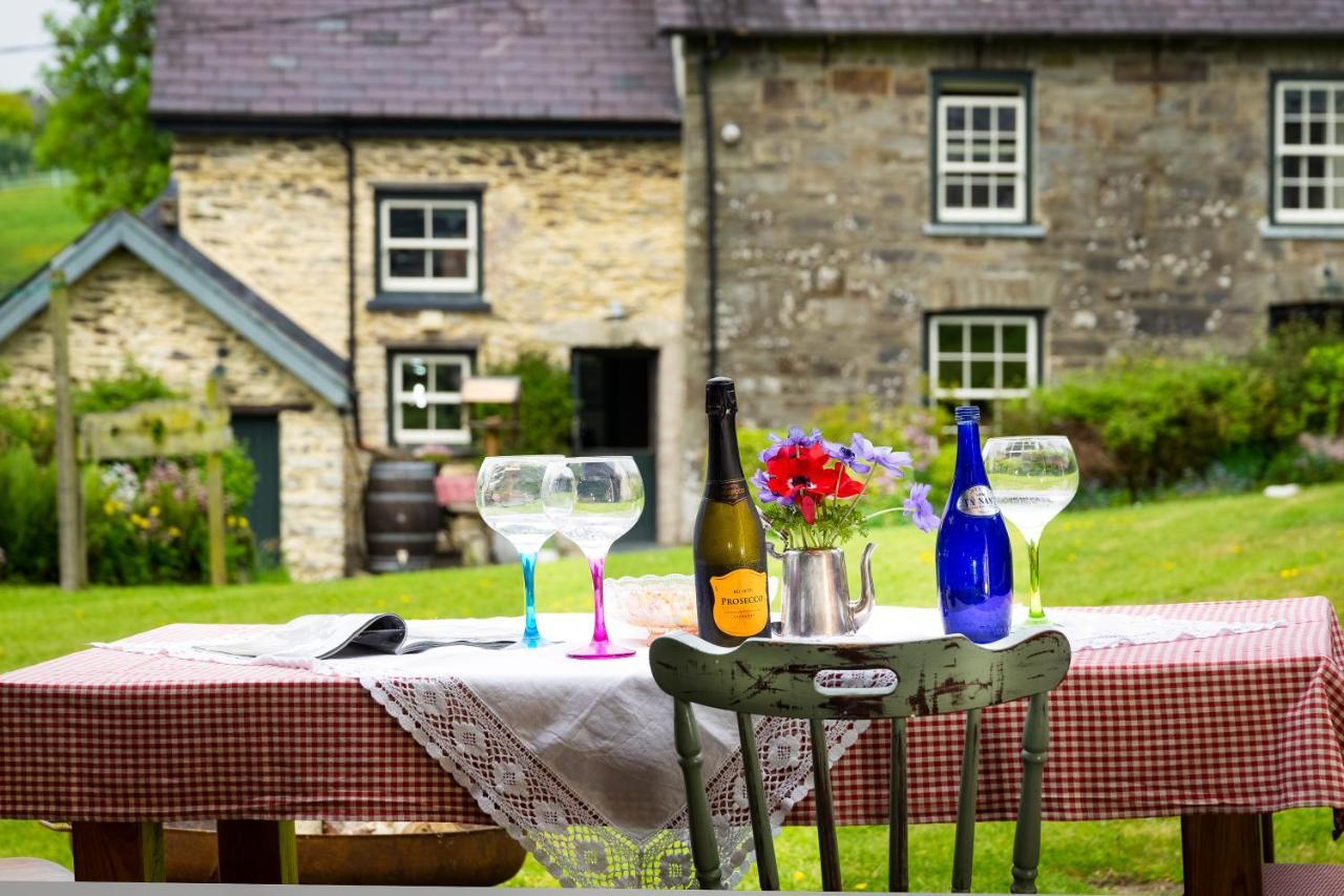 Nantgwynfaen Organic Farm Wales Villa Llandysul Kültér fotó