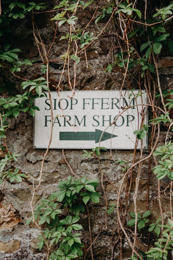 Nantgwynfaen Organic Farm Wales Villa Llandysul Kültér fotó
