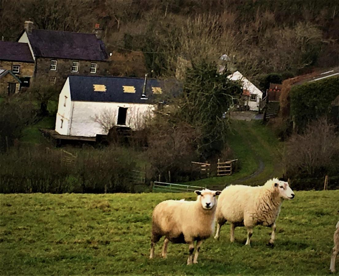 Nantgwynfaen Organic Farm Wales Villa Llandysul Kültér fotó
