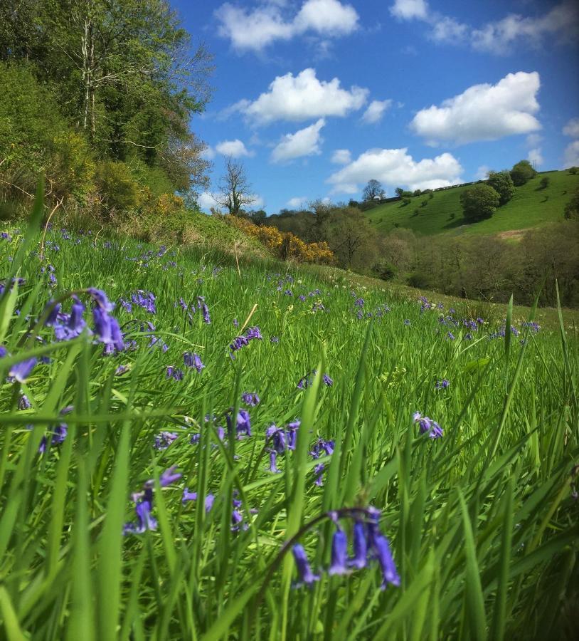 Nantgwynfaen Organic Farm Wales Villa Llandysul Kültér fotó