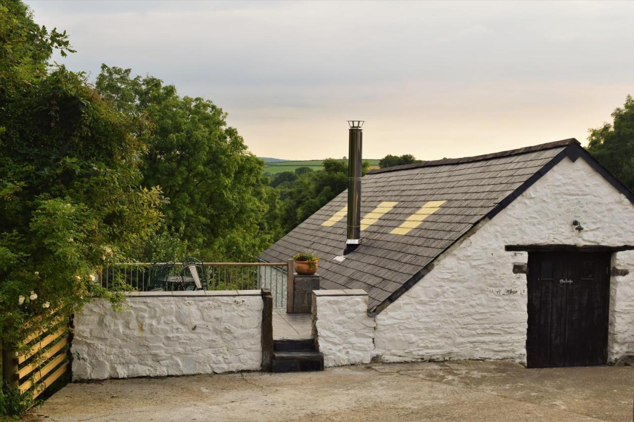 Nantgwynfaen Organic Farm Wales Villa Llandysul Kültér fotó