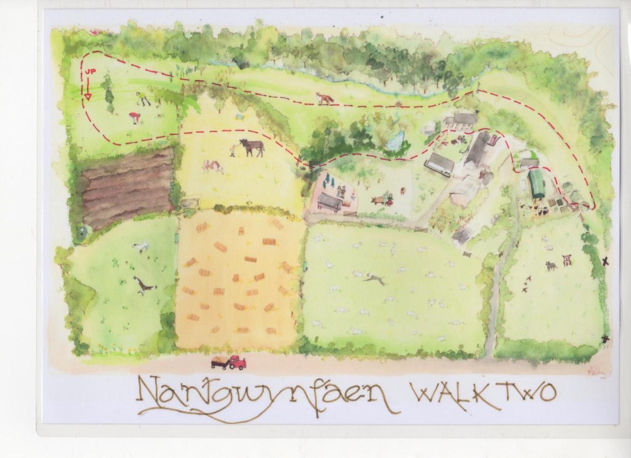 Nantgwynfaen Organic Farm Wales Villa Llandysul Kültér fotó