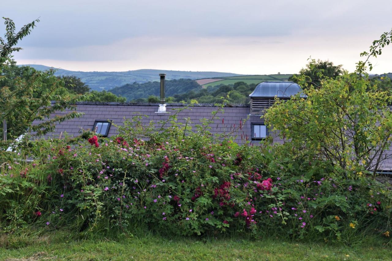 Nantgwynfaen Organic Farm Wales Villa Llandysul Kültér fotó