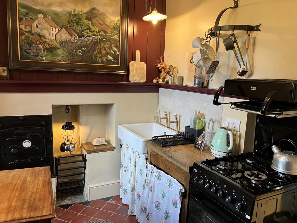 Nantgwynfaen Organic Farm Wales Villa Llandysul Kültér fotó