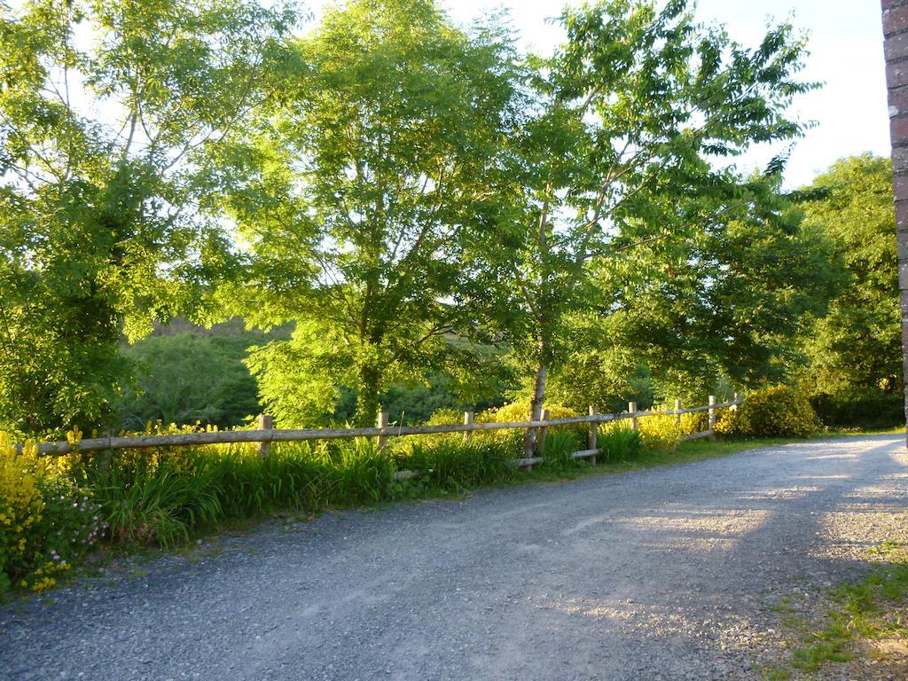 Nantgwynfaen Organic Farm Wales Villa Llandysul Kültér fotó