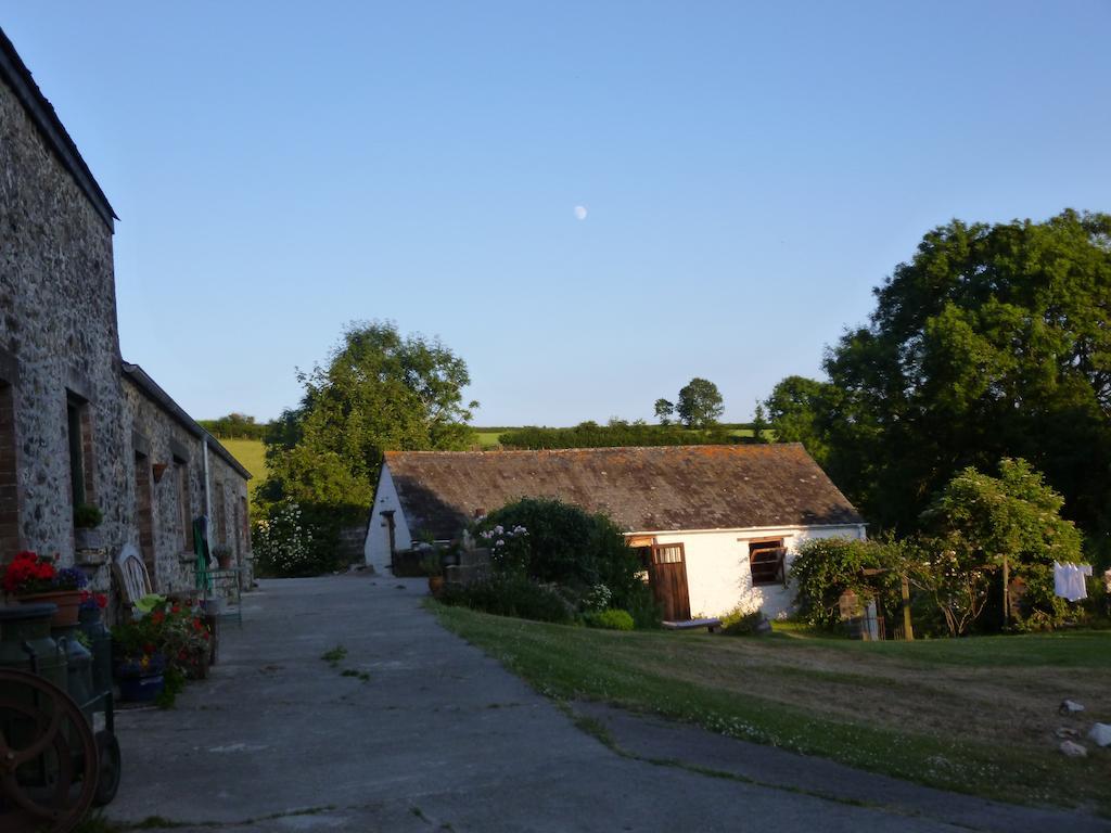 Nantgwynfaen Organic Farm Wales Villa Llandysul Kültér fotó