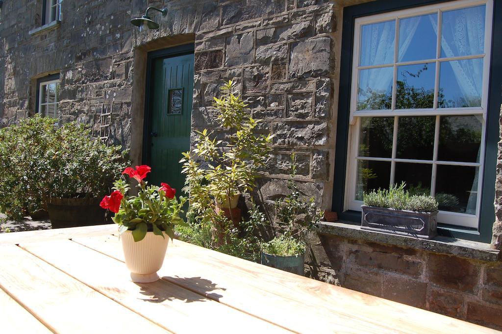 Nantgwynfaen Organic Farm Wales Villa Llandysul Kültér fotó