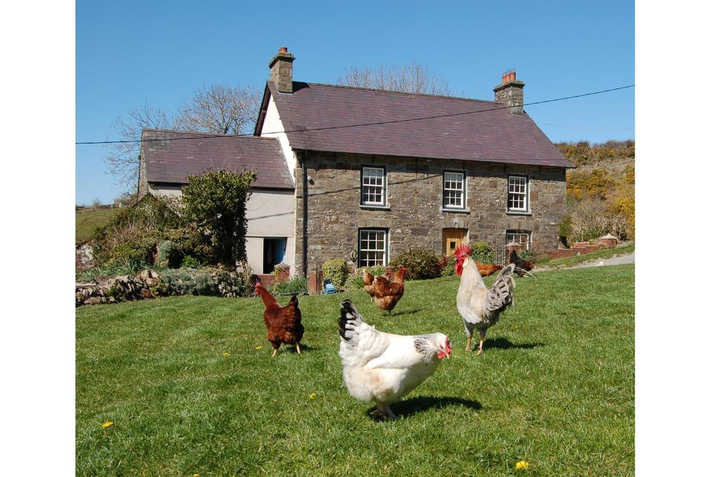 Nantgwynfaen Organic Farm Wales Villa Llandysul Kültér fotó
