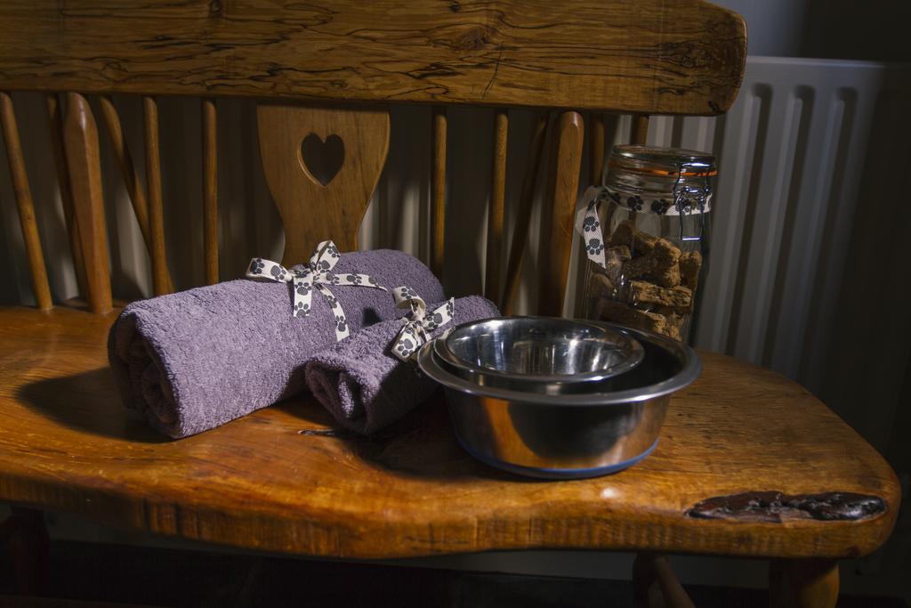 Nantgwynfaen Organic Farm Wales Villa Llandysul Kültér fotó