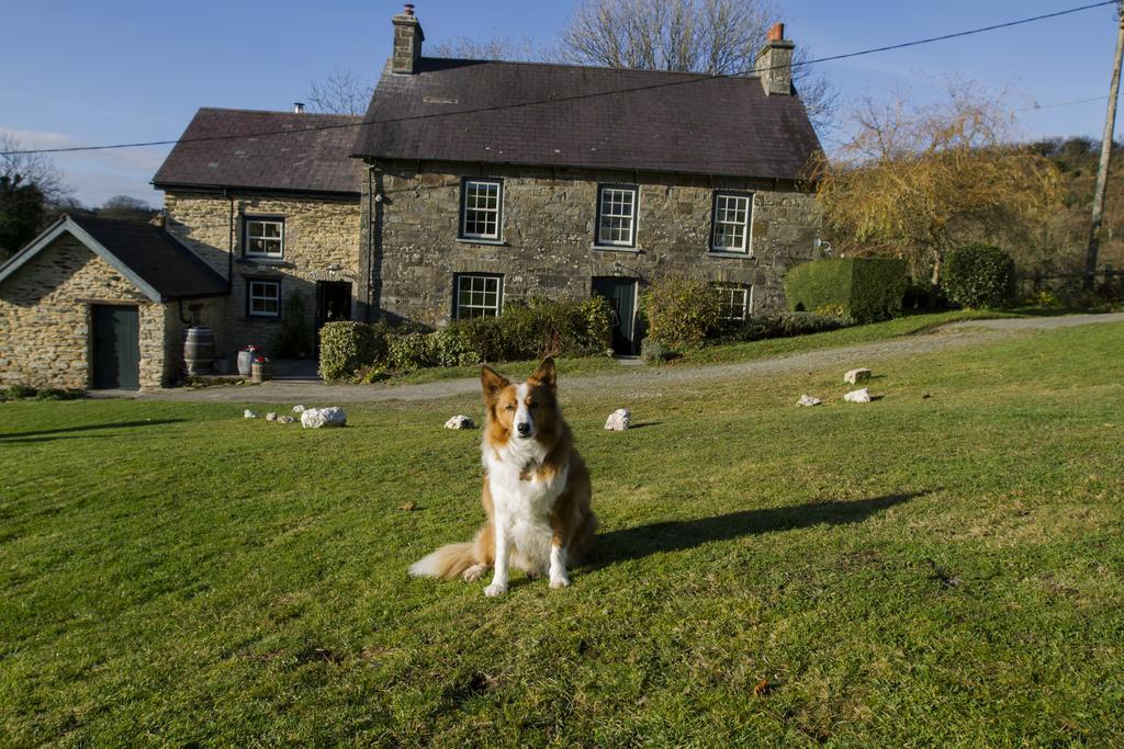 Nantgwynfaen Organic Farm Wales Villa Llandysul Kültér fotó